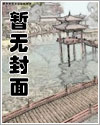 特工传奇之重明章节列表